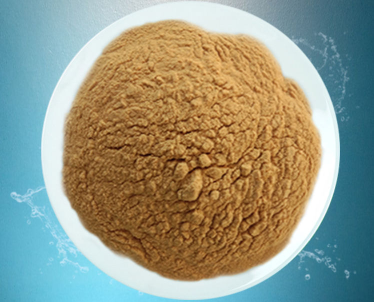 屠宰場(chǎng)污水處理去磷劑加在哪？