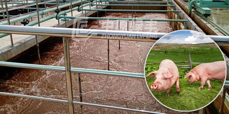 屠宰廢水應(yīng)該怎么處理？