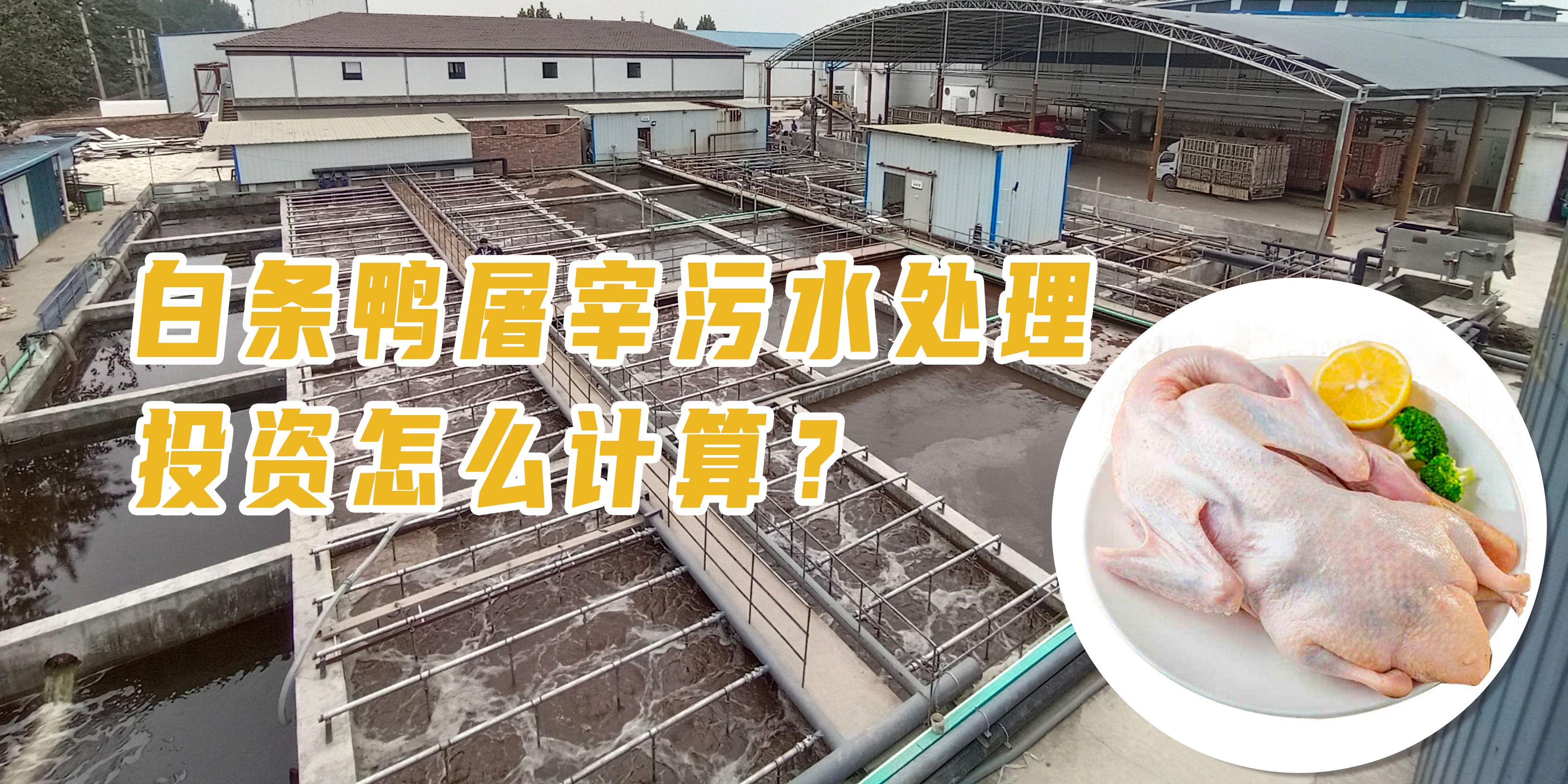 白條鴨屠宰污水處理投資怎么計(jì)算？