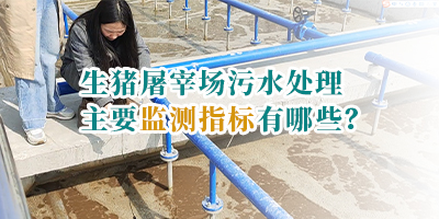 生豬屠宰場(chǎng)污水處理主要監(jiān)測(cè)指標(biāo)有哪些？