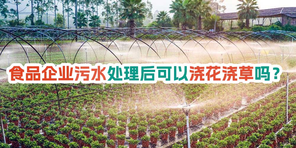 食品企業(yè)污水處理后可以澆花澆草嗎？