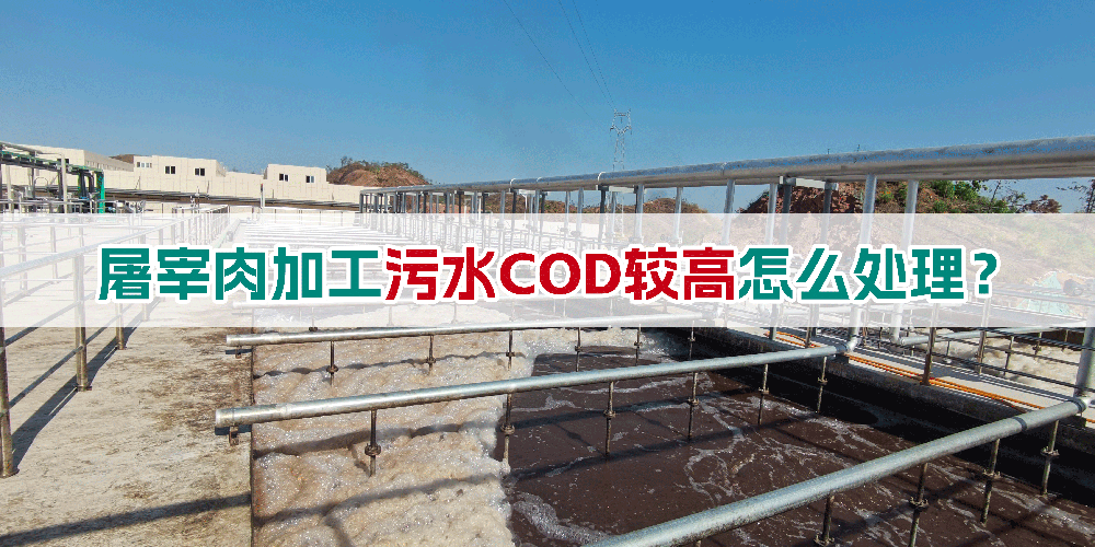 屠宰肉加工污水COD較高怎么處理？