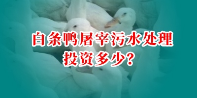 白條鴨屠宰污水處理投資多少？